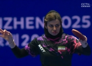 开云下载-跆拳道比赛中伊朗选手夺得冠军