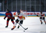 开云体育官网-冰球赛季收官，冠军榜单揭晓