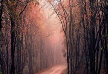 开云体育登录-韩国羽毛球队轻取泰国羽毛球队，戴资颖爆发神勇