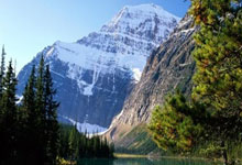 开云体育官方网站-日本网球队轻取澳大利亚，梅德韦杰夫爆发神勇：网球世界新风云！