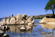 开云体育中国-美国网球队横扫世界网球队，纳达尔一己之力扛起全队