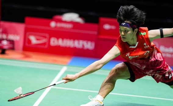 越南选手在羽毛球比赛中取得胜利