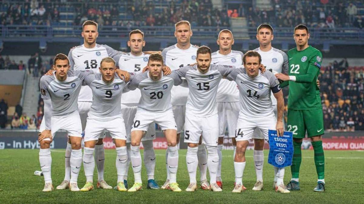 爱尔兰球队获得了欧洲杯资格