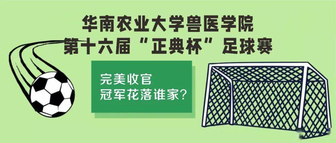 华南联队赢得胜利,晋级16强赛 华南联队赢得胜利,晋级16强赛