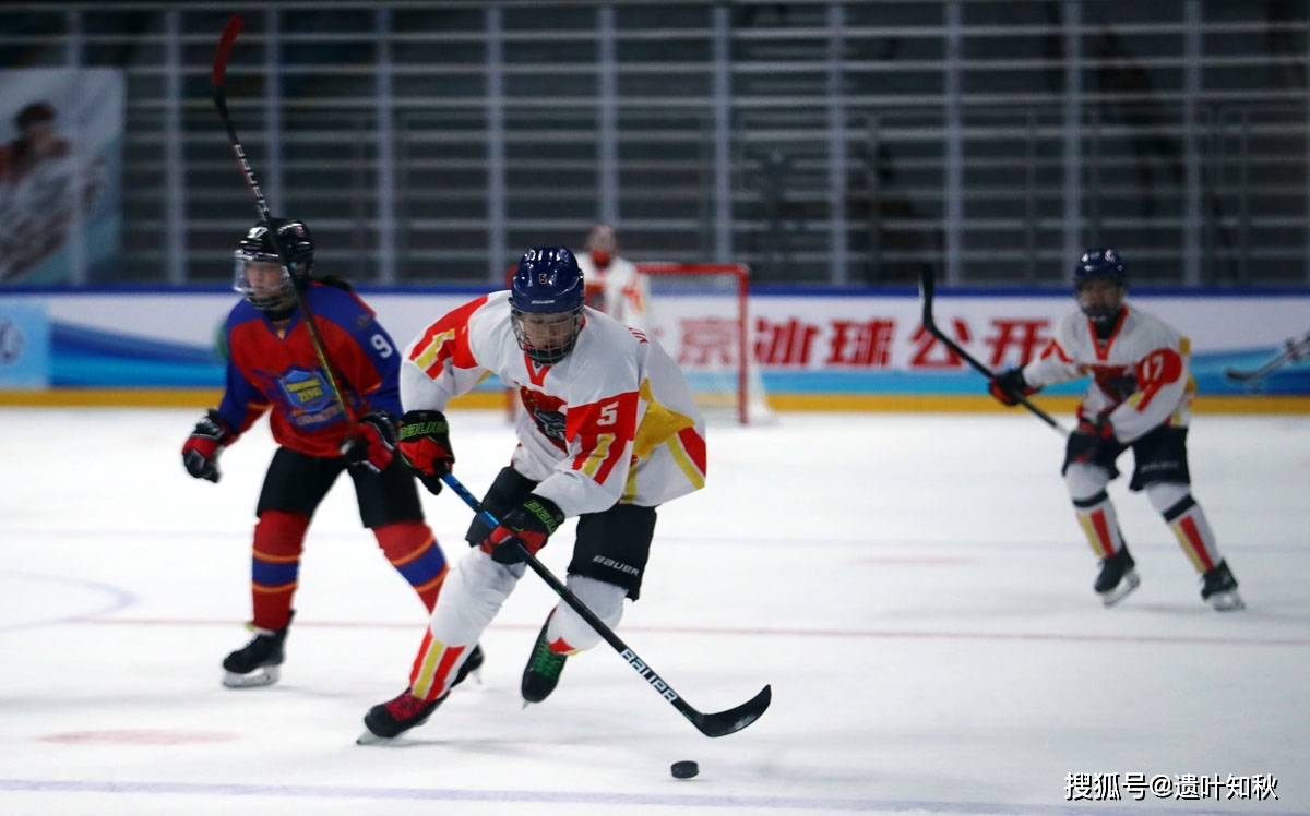 冰球赛季收官，冠军榜单揭晓