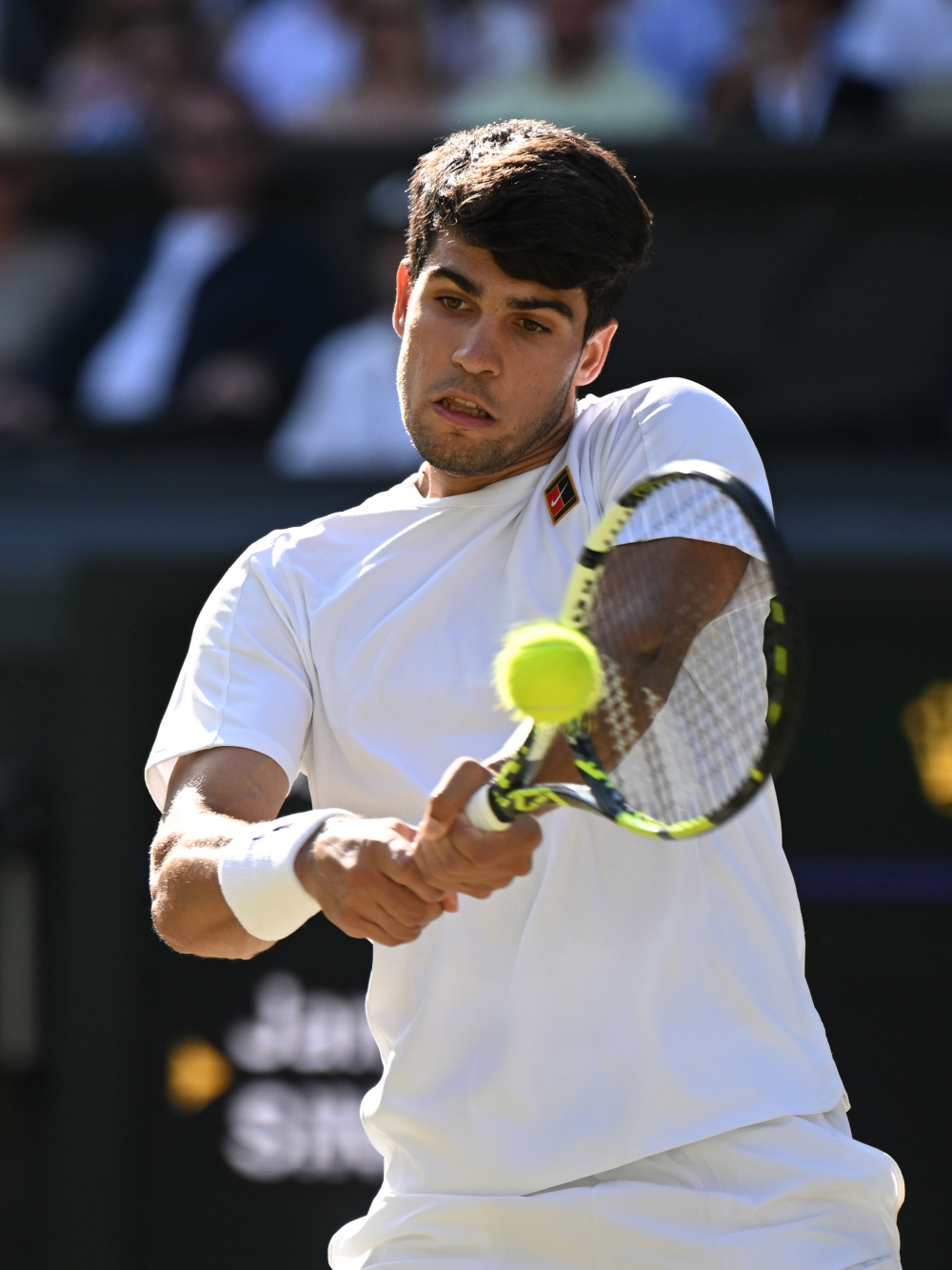 温网碾压年终总决赛，辛纳刷新纪录